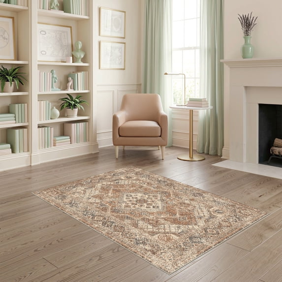 Entry Area Rug ODIKA 4'x6' Ultra-Soft Area Rug, Entryway Boho Distressed Vintage ...