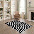 thumbnail image 1 of ODIKA 4'x6' Washable Area Rug Stain Resistant, Low Pile, Easy Care Black White Corridor Alfombras Para Striped Design with Bold Monochrome Symmetry for Dorm Room, Small Living, 1 of 7