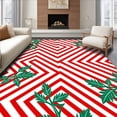 thumbnail image 1 of ODIKA 4'x6' Machine Washable Non-Slip Area Rug, Cane Stripe with Mistletoe Accent High Traffic Rug, Red, 623367, 1 of 7