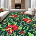 thumbnail image 1 of ODIKA 4'x6' Machine Washable Non-Slip Area Rug, Yuletide Botanical Embellished Decoration High Traffic Rug with Pad, Red, 605865, 1 of 8