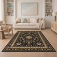 thumbnail image 1 of ODIKA 5'x7' Washable Area Rug Easy Care, Non-Shedding, Pet Friendly, Black Gold Floral Elegance Intricate Borders Classic Motifs and Symmetrical for Small Living Room, Bedroom, 1 of 7
