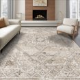 thumbnail image 1 of ODIKA 8'x10' Ultra-Soft Area Rug, Entry Symmetrical Grey Decorative Entryway Front Door Styling None Washable, Bare feet friendly, Silk-Touch for Bedroom, Under Sectional, 1 of 7