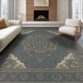 thumbnail image 1 of ODIKA 8'x10' Washable Area Rug Durable, Non-Slip Large Bound Inspired Ornate Centerpiece Subtle Decorative for Living Room, Under Sectional, Family, 1 of 7