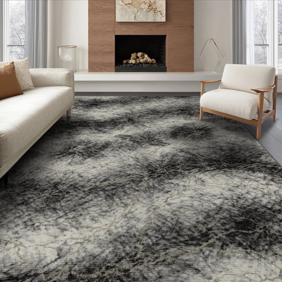 ODIKA 8'x10' Washable Area Rug Durable, Non-Slip Rugblack Tie Dye Gilded Motif Flowing Asymmetric Fuzzy Smalltan for Living Room, Under Sectional, Family