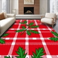 thumbnail image 1 of ODIKA 8'x10' Machine Washable Non-Slip Area Rug, Joyful Gingham Celebration Doorway Accent High Traffic Rug, Red, 606782, 1 of 7