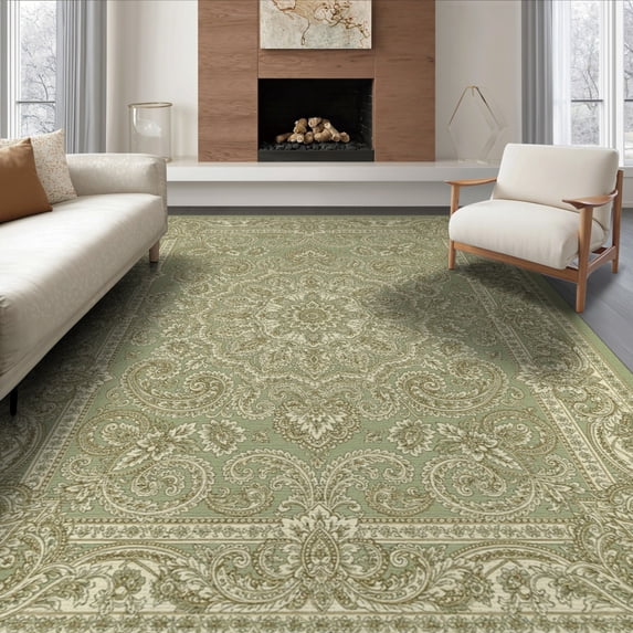 ODIKA Traditional Paisley Distressed Border Ornamental Scrolls Vintage Flowing Dynamic Non-Slip Flatwoven for Living Room, Under Sectional, Family