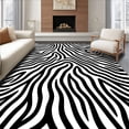 thumbnail image 1 of ODIKA 3x5 Machine Washable Non-Slip Area Rug, Zebra Stripe Anti Slip Shag with Bold Contrasting Design Ultra Soft Rug, None, 596079, 1 of 7