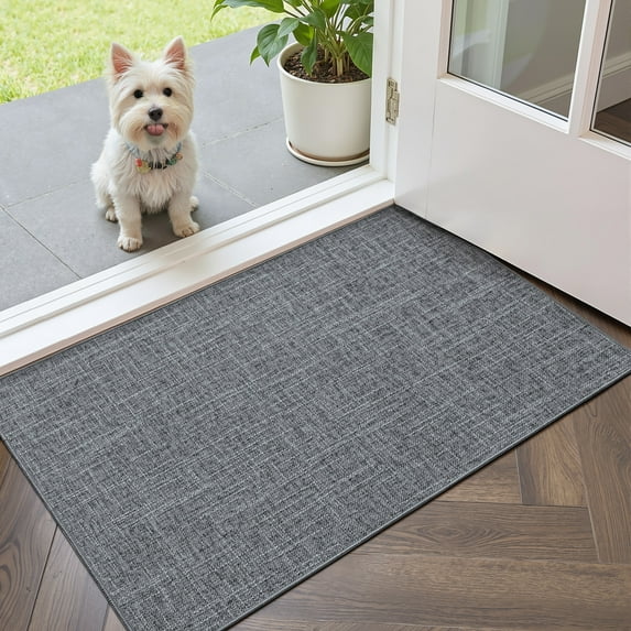 OEAKAY Indoor Doormat 36"x56",Non-Slip Front Door Mats Rug for Inside Washable, Low Profile Entry Rug for Entryway Indoor, Dirt Trapper Absorbent Indoor Welcome Floor Mats for Home,Dark Gray