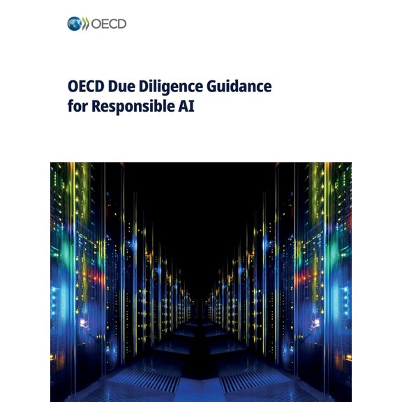 OECD Due Diligence Guidance for Responsible AI, (Paperback)