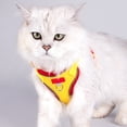thumbnail image 1 of OEFNTAC Home and Kitchen Reflective Breathable Pet Harness Leash Adjustable Sleeveless Secure Fit for Cats Dogs Outdoor Walking, 1 of 6