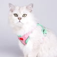 thumbnail image 1 of OEFNTAC Home and Kitchen Reflective Breathable Pet Harness Leash Adjustable Sleeveless Secure Fit for Cats Dogs Outdoor Walking, 1 of 6