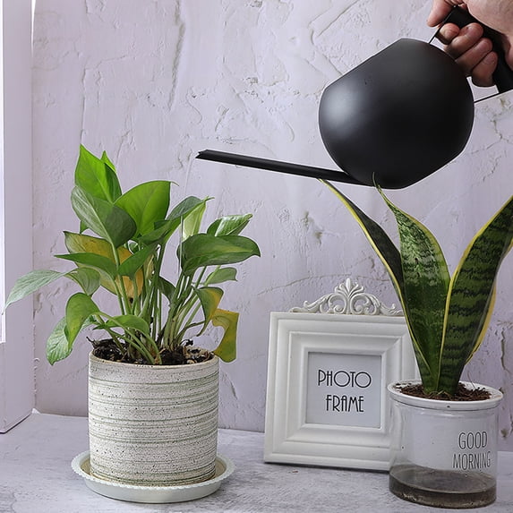 OEFNTAC Watering Can Watering Can Outdoor User-friendly Comfortable Handle Design Efficient Watering Pot Spray Household 1L Metal Portable Stainless Steel Long Spout for Indoor Plants