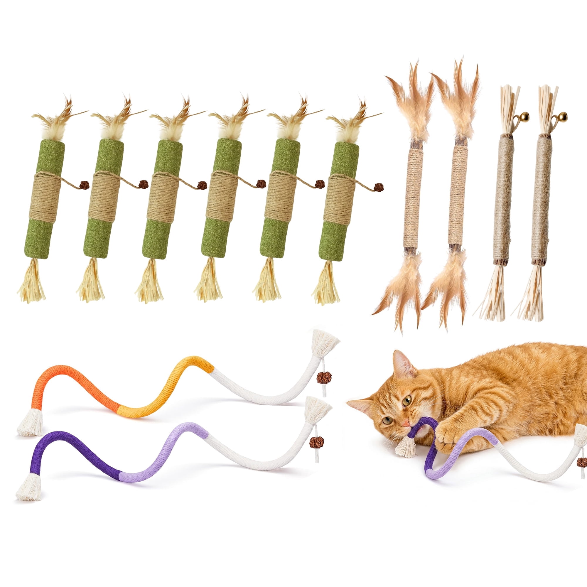 OEIKPFN Cat Chew Toys, 12PCS Chew Rope & Silvervine Sticks for Bored Indoor  Adult Cats, Interactive Catnip Toys for Cats for Teeth Cleaning