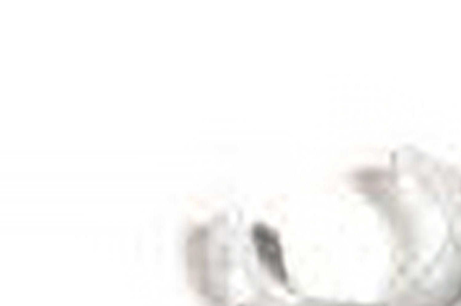 OEM 5SI Guide Bushing