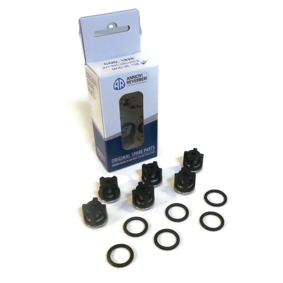 OEM Annovi Reverberi Check Valve Kit with O-Rings, AR-1828, AR1828, AR 1828 Pressure