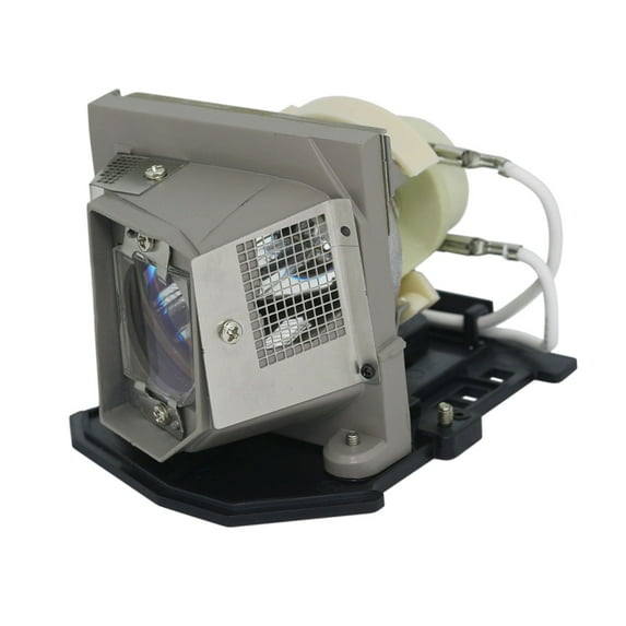 Jaspertronics BL-FP190A Lamp & Housing for Optoma Projectors Fits DS325, DX325, S300+, S300, SP8TK01GC01, X300 1 Year Warranty 1 Unit per pack
