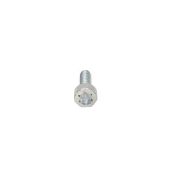 OEM Echo Bolt, Torx 4X12