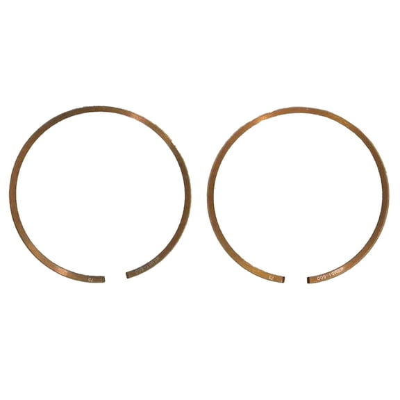 OEM Grade Piston Ring Set Compatible with 1987-1992 Suzuki LT250R QuadRacer 250 246cc Liquid-Cooled 2-Stroke ATV +0.75mm 67.75mm Bore Replaces 51-600-06 12140-01C10-075 1214001C10075