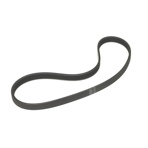 OEM Hotpoint Washer Machine Drive Belt Originally Shipped With HTW200ASK3WW, HTW200ASK4WW
