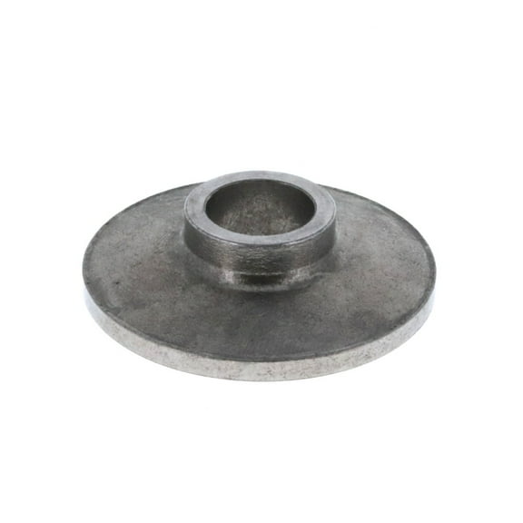 OEM N595259 Miter Saw Washer DWS715