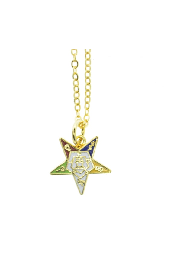 OES Dangling Pendant Order of the Eastern Star Symbolism w/ Chain Necklace