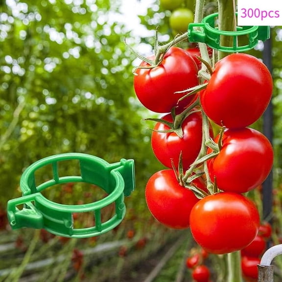 OFEFE 300PCS Garden Plant Support Clips - Plastic Trellis Clips for Tomato Vines, Vegetable Plants, Grape Vines, Cucumber & Melon Support - Reusable Plant Clips for Healthier Growth