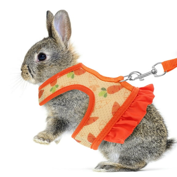 OFFIGAM Adjustable Orange Pet Vest and Leash Set for Small Animals Comfortable