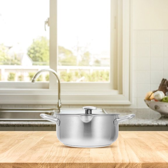 OFFIGAM Stainless Steel Controllable Temperature Frying Pot, Plated Nonstick Pan for Kitchen Cooking, 1 Piece