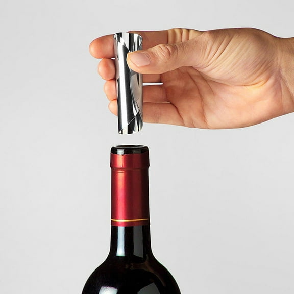 OFFIGAM 10Pcs Silver Wine Pourer Spout Pouring Aid for Home Use