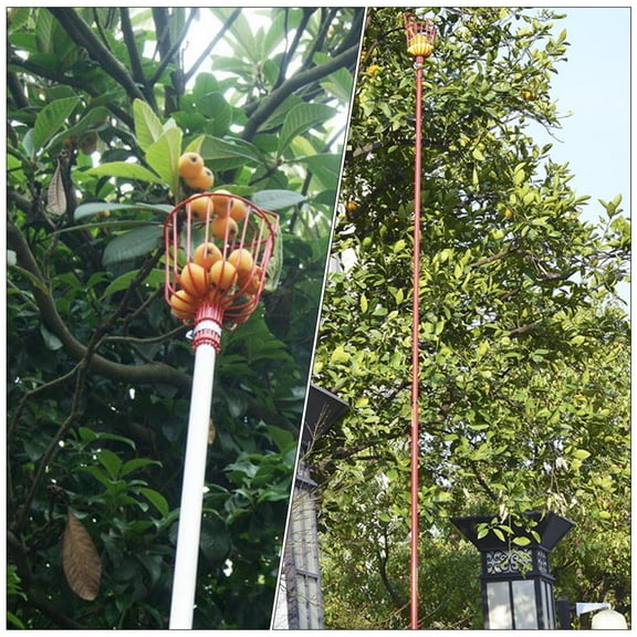 OFFIGAM 2Pcs High-Reach Fruit Picker Adjustable Picking Device Safe Handling for Orchard Workers 13.4X5.7in