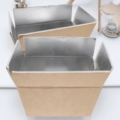 OFFIGAM 2Pcs Insulated Shipping Boxes For Shipping Seafood Insulated Carton Boxes For Cold Chain Use