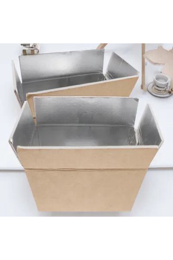2Pcs Insulated Shipping Boxes For Shipping Seafood Insulated Carton Boxes For Cold Chain Use