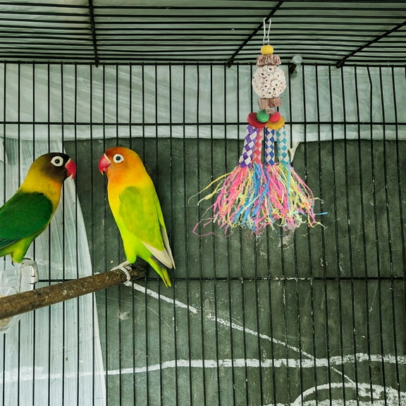 OFFIGAM 2Pcs Macaw Toys Bird Chew Toys Multi Wood Crinkle Paper Design For Mental Stimulation