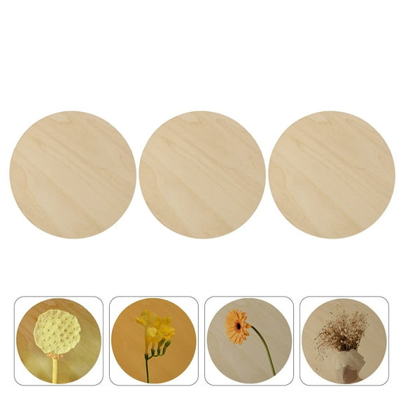OFFIGAM 3Pcs Unfinished Wood Circles for Painting and Home Decorating, Assorted Sizes and Colors