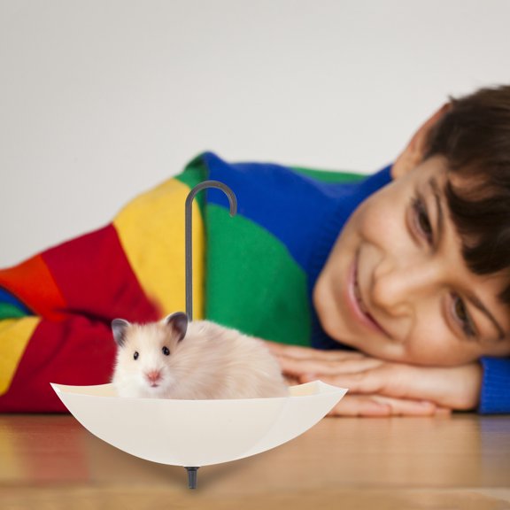 OFFIGAM 3Pcs Lovely Hamster Springboard Pet Accessory to Promote Balance and Coordination