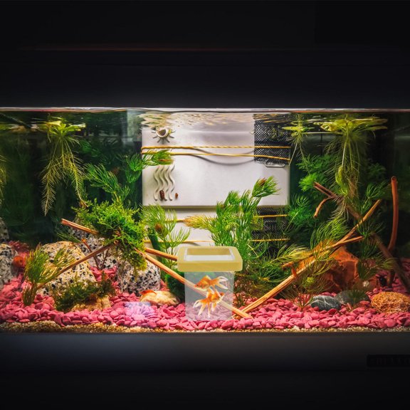 OFFIGAM 3Pcs Plastic Floating Fish Breeding Box for Aquarium with Dual Layer Separation