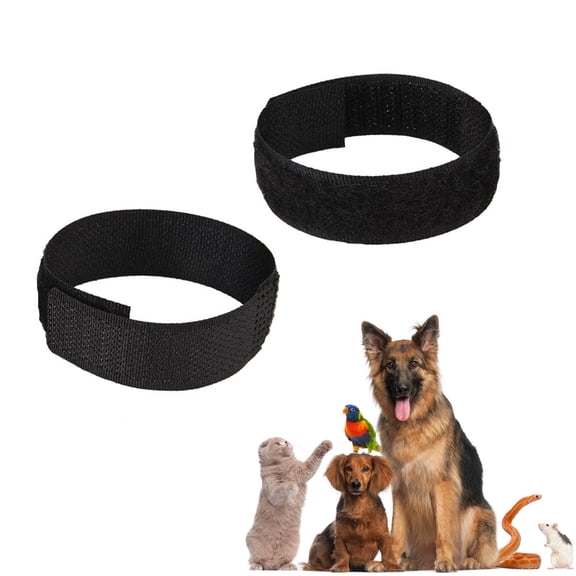 OFFIGAM Nylon Pet Collar Anti-Crow Rooster Belt Effective Crowing Control Black 4Pcs