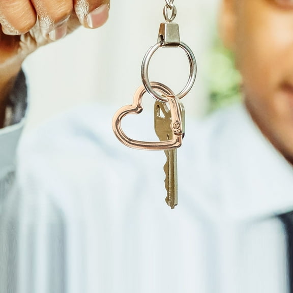 OFFIGAM 4-Pack Outdoor Carabiner Clips in Golden Zinc Alloy for Backpack, Camping, Hiking, and Travel Accessories