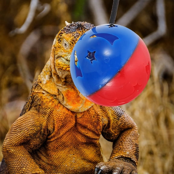 OFFIGAM 7-Piece Reptile Bell Toy Set for and Small Pet Enrichment and Feeding