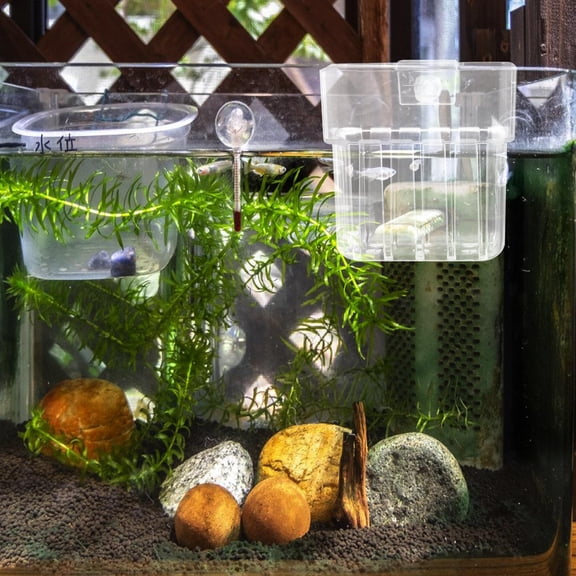 OFFIGAM Wall Mounted Clear Fish Tank Plant Holder ABS Material Easy to Clean Plant Rack