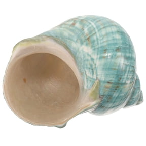 OFFIGAM Dark Conch Shell for Fish Aquarium Decor 1Pcs
