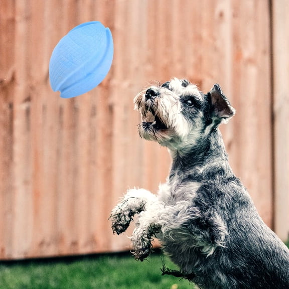 OFFIGAM Doggy Disc for Small Dogs, Puppy Chew Toy with Fun Design, 1 Set Pet Play