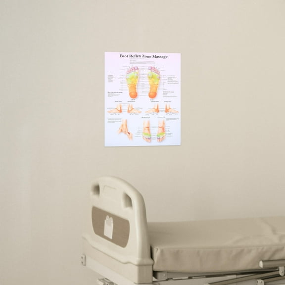 OFFIGAM Foot Reflexology Chart Canvas Poster for Home and Office Use Multi Colored Anatomy Art 24 x 36 Inches