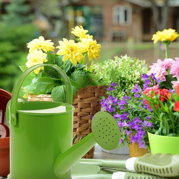 OFFIGAM Metal Garden Kettle for Flower Watering Green Iron Tool for Indoor Outdoor Use 1Pack