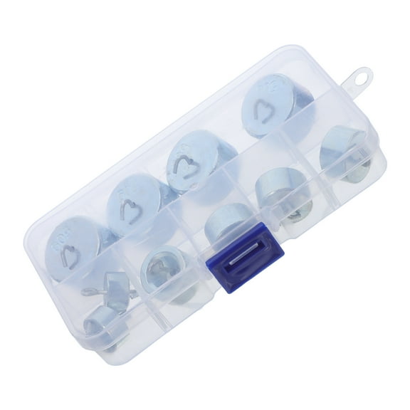 OFFIGAM Precision Calibration Weight Set 300g with Carrying Case for Physics Lab Experiments, Chromium-Plated Iron Weights