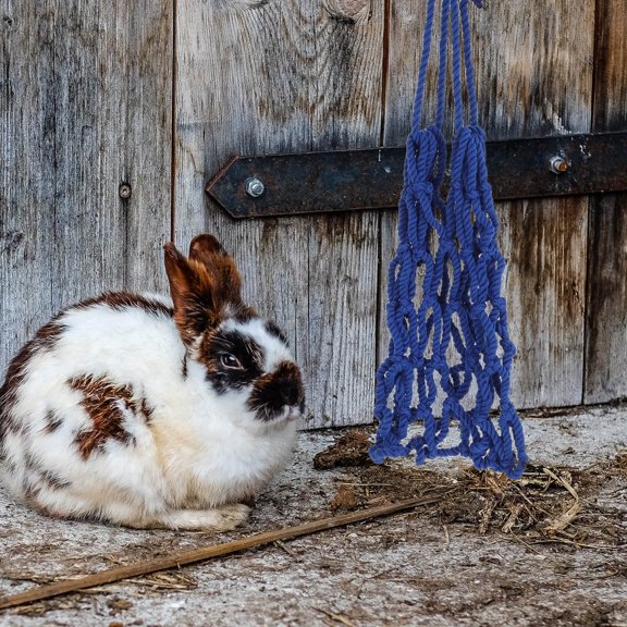 OFFIGAM Slow Feeder Hay Bag for Small Pets with Transparent Mesh and Easy Cage Hanging Design