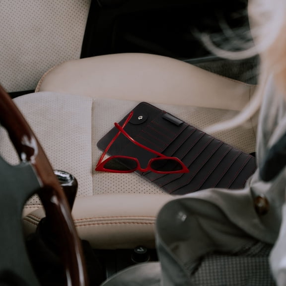 OFFIGAM Universal Black Car Sun Visor Organizer Clip with Multi Pockets for Cds Cards and Sunglasses