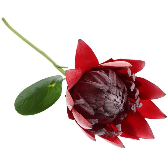 OFFIGAM Elegant Red Simulation Protea Flower, Uv Resistant, Perfect for Any Decor Style