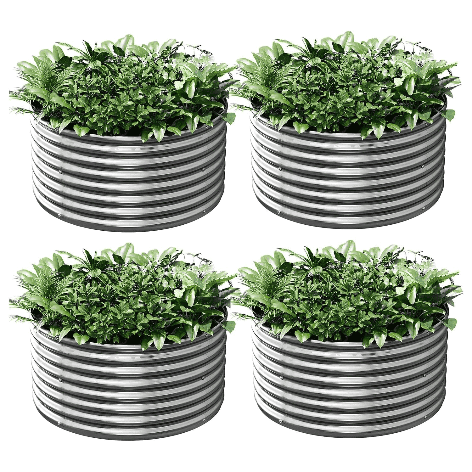 CATMANOR 4 Pack 3FT Length Round Galvanized Raised Garden Bed Outdoor,Metal Garden Bed for Vegetables,Steel Raised Beds for Gardening,Above Ground Garden Box for Flower