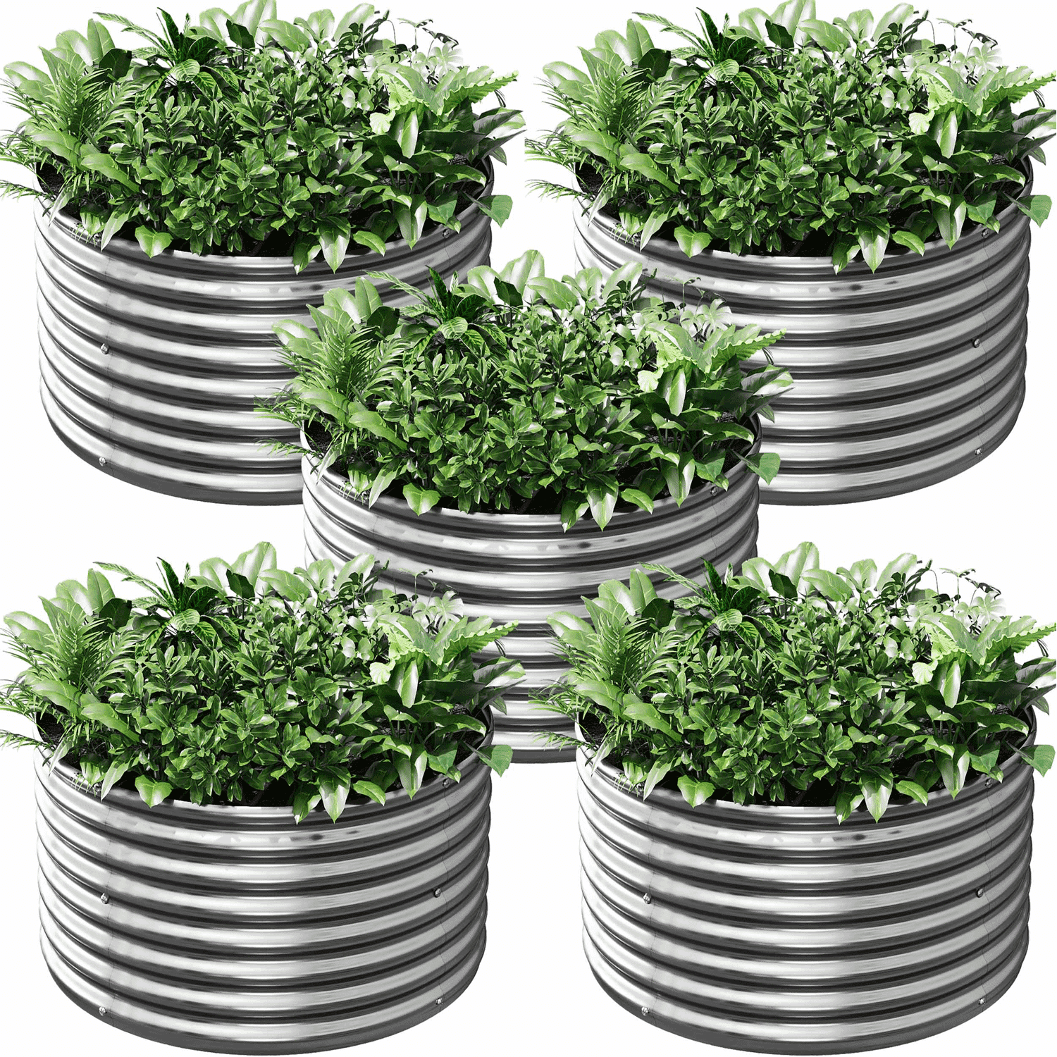 CATMANOR 5 Pack 3FT Length Round Galvanized Raised Garden Bed Outdoor,Metal Garden Bed for Vegetables,Steel Raised Beds for Gardening,Above Ground Garden Box for Flower
